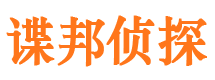 新源调查公司